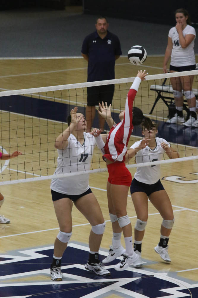 Gallery: Girls volleyball - Crown Point at Michigan City